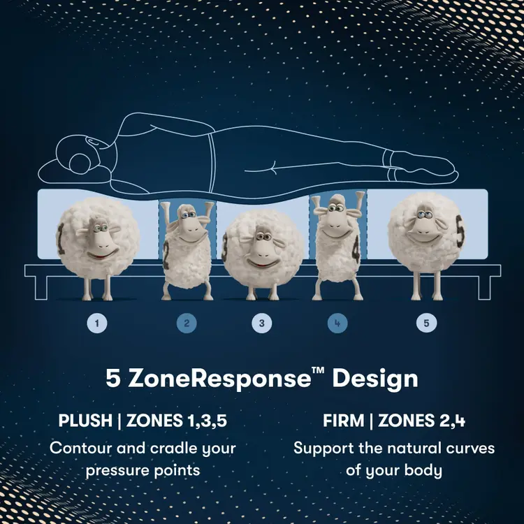 Serta iComfortPro Mattress