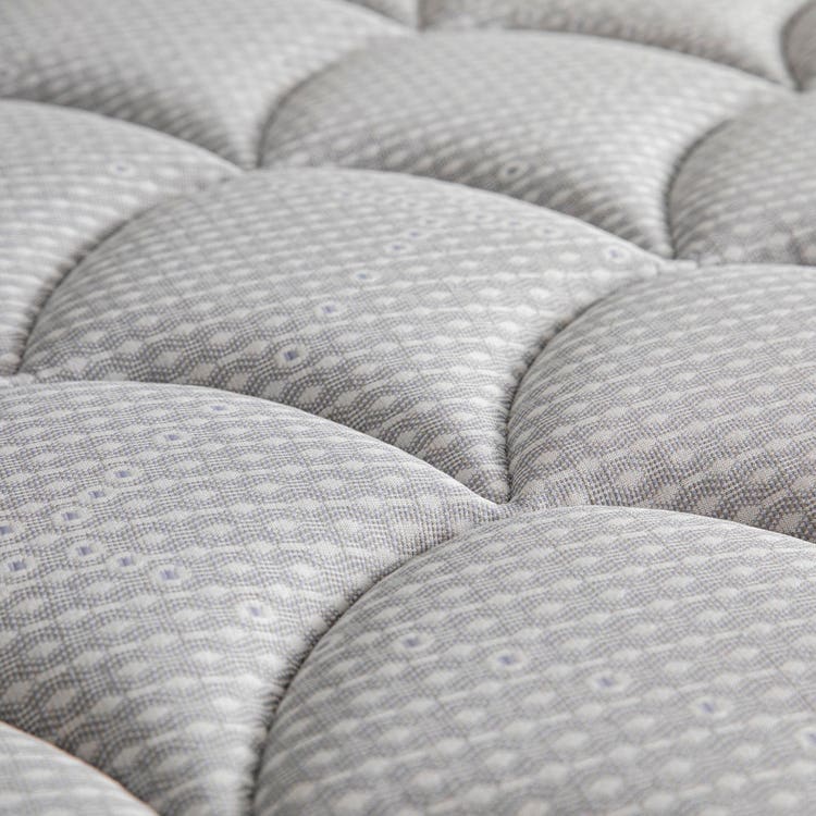 Perfect Sleeper Charlotte 10.5 inch Plush Euro Top Mattress
