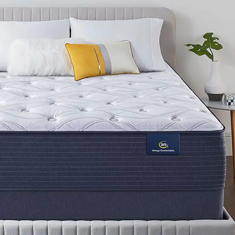 Serta Classic Elite Plush 14"