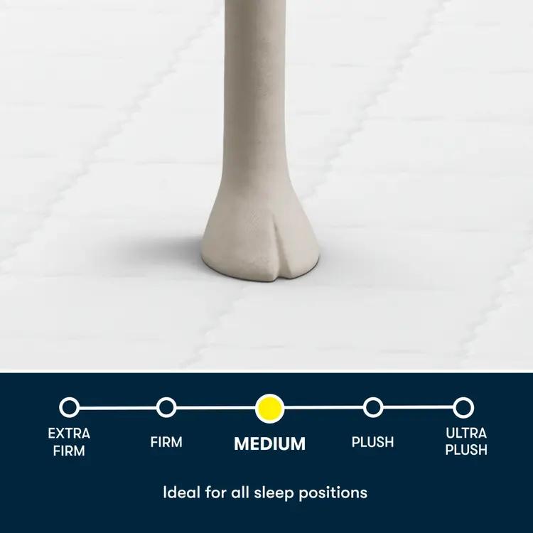 Serta Five Star Mattress
