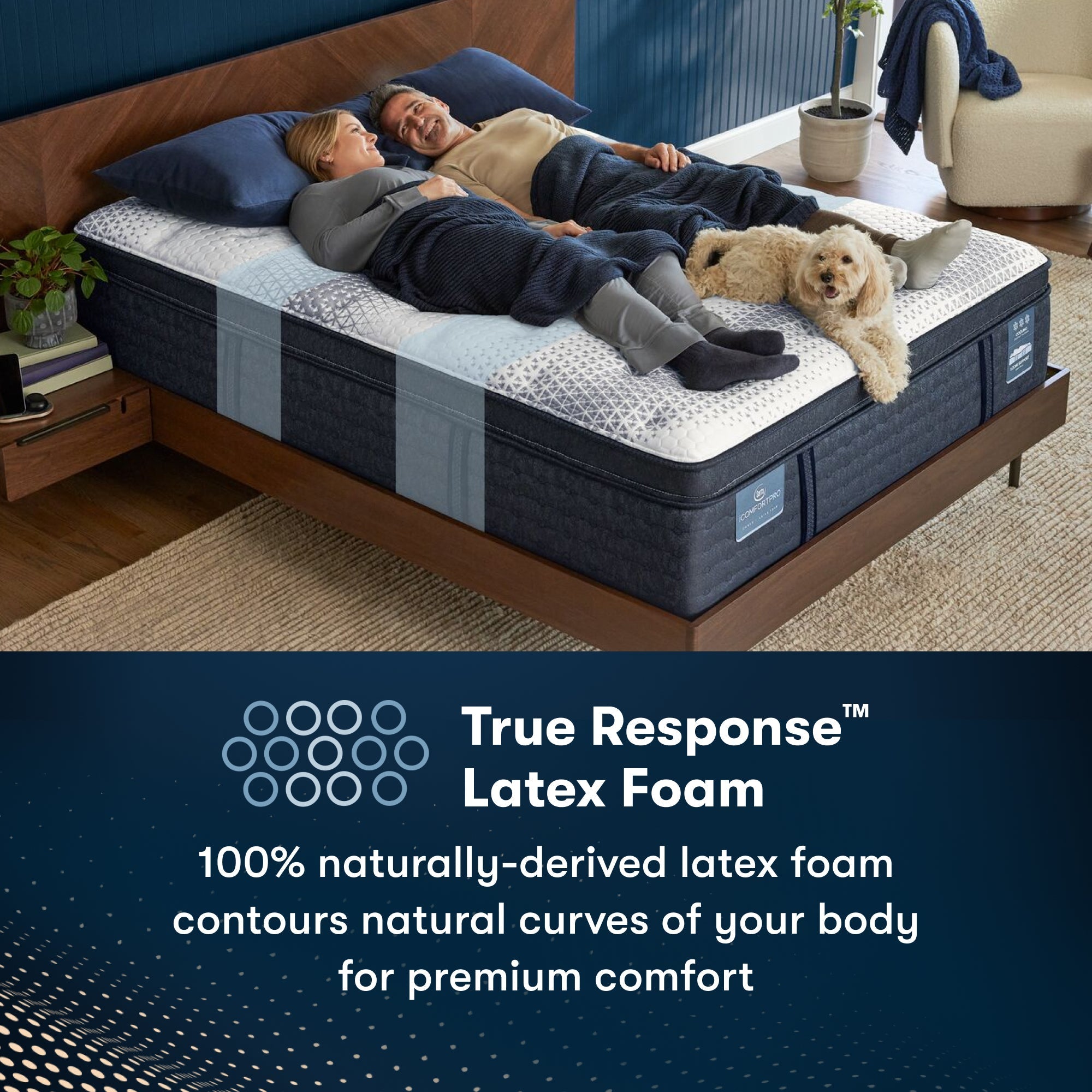 Serta iComfortPro Mattress