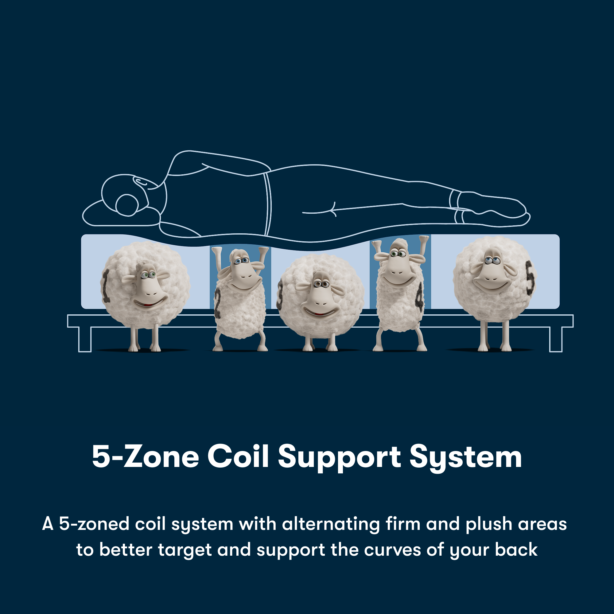 Illustration of a person lying on a mattress with cartoon sheep representing the 5-zone coil support system.