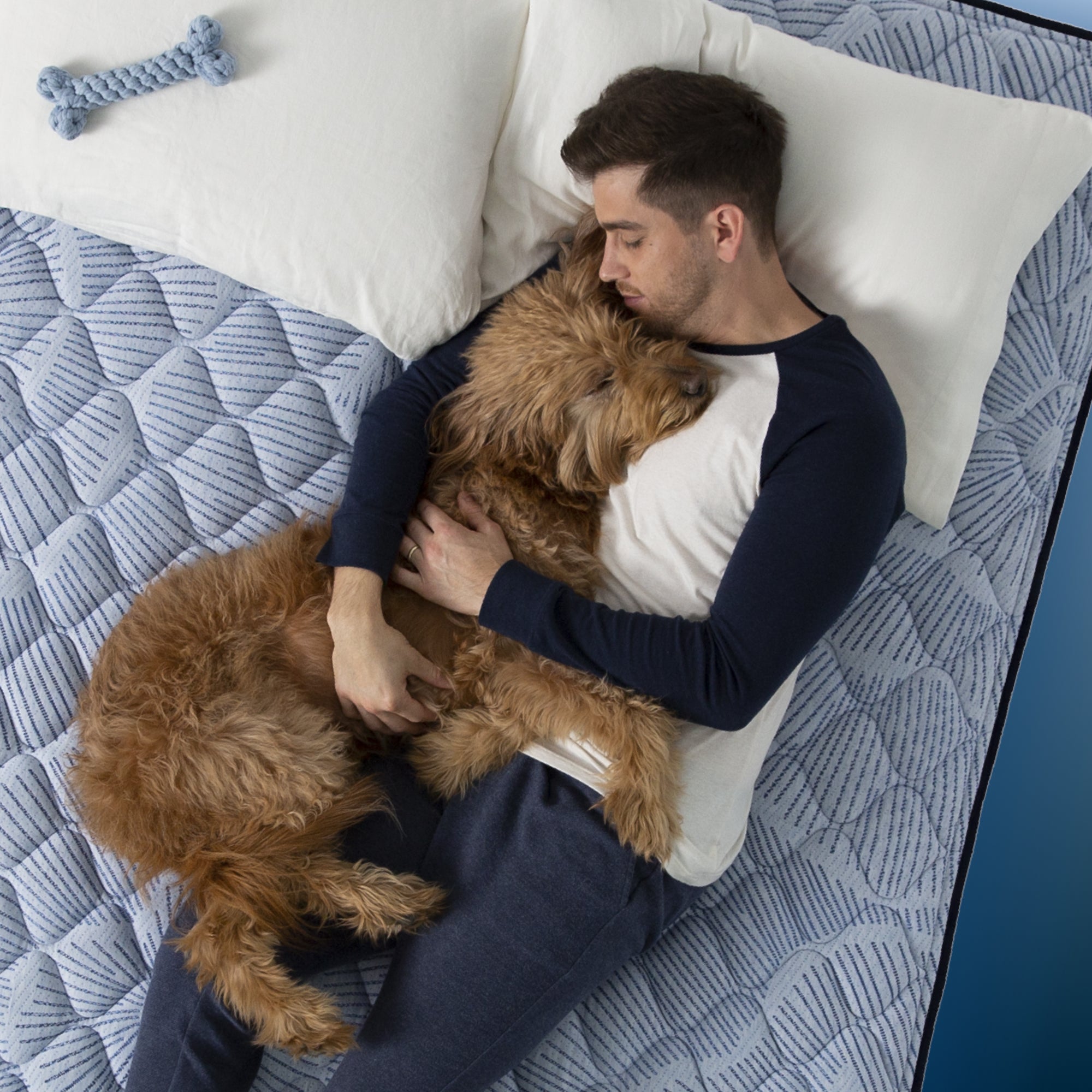 Perfect Sleeper Innerspring Mattress 2023 Version